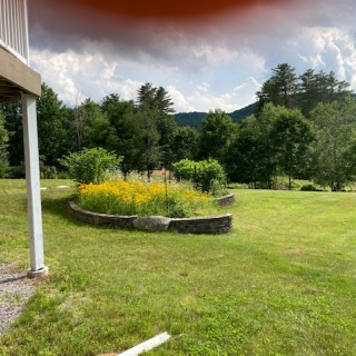 289 Photo 16