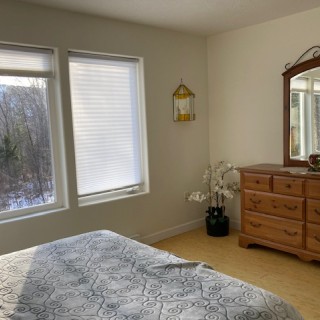 288 Photo 10