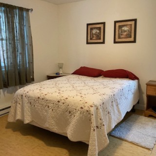 288 Photo 11