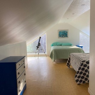 288 Photo 13