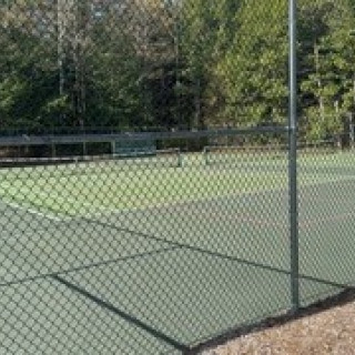 374 Photo 54